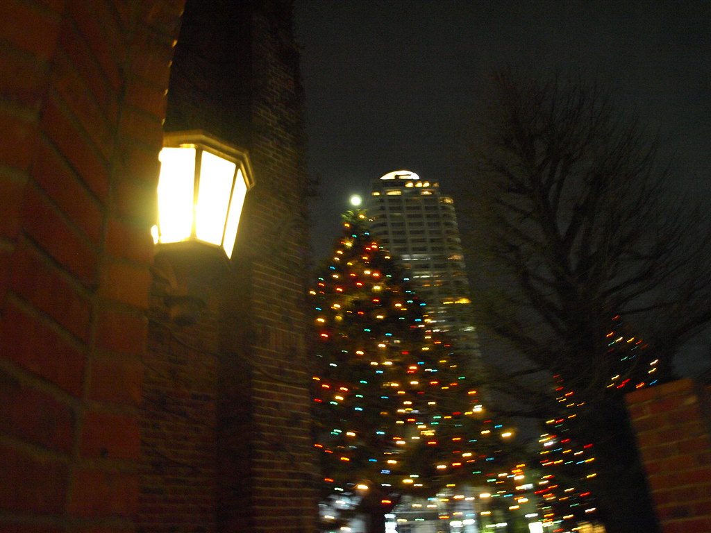 The Christmas tree lit up at night on Rikkyo University's campus