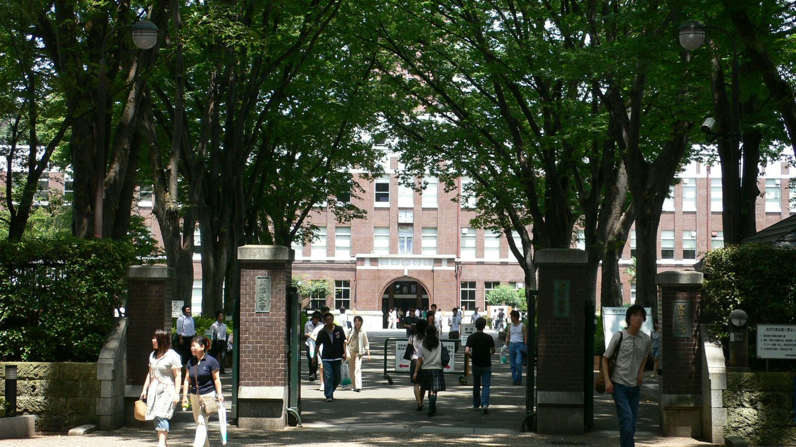 The zelkova avenue and main gate of Seikei University