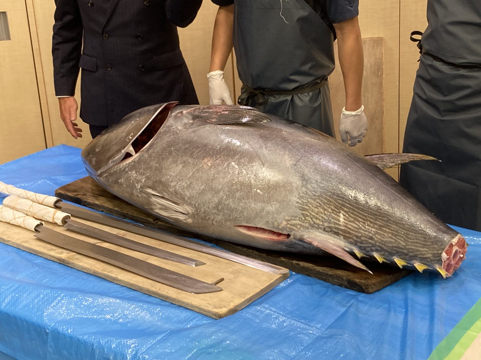 A whole tuna and long tuna knives laid out before a tuna cutting show